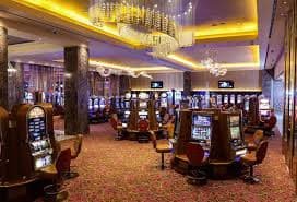 555fb bet